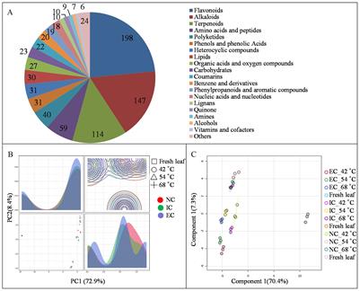 LC-MS/MS-based metabolic profiling: unraveling the impact of varying degrees of curing on metabolite transformations in tobacco